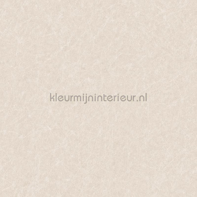 Dutch Wallcoverings Tapestry TP422902 | Bestellen bij https://www.kleurmijninterieur.nl/