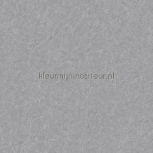 Dutch Wallcoverings Tapestry TP422907 | Bestellen bij https://www.kleurmijninterieur.nl/