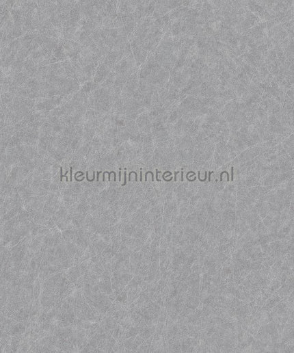 Dutch Wallcoverings Tapestry TP422907 | Bestellen bij https://www.kleurmijninterieur.nl/