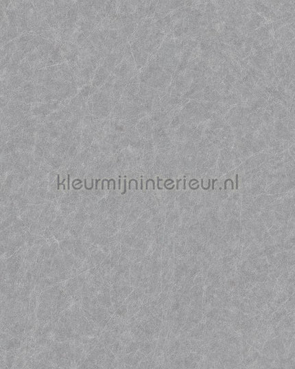 Dutch Wallcoverings Tapestry TP422907 | Bestellen bij https://www.kleurmijninterieur.nl/