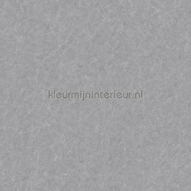 Dutch Wallcoverings Tapestry TP422907 | Bestellen bij https://www.kleurmijninterieur.nl/