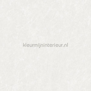 Dutch Wallcoverings Tapestry TP422901 | Bestellen bij https://www.kleurmijninterieur.nl/