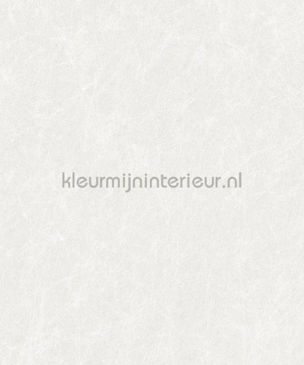Dutch Wallcoverings Tapestry TP422901 | Bestellen bij https://www.kleurmijninterieur.nl/
