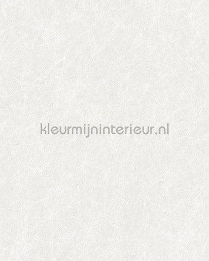 Dutch Wallcoverings Tapestry TP422901 | Bestellen bij https://www.kleurmijninterieur.nl/