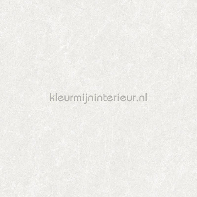 Dutch Wallcoverings Tapestry TP422901 | Bestellen bij https://www.kleurmijninterieur.nl/