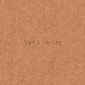Dutch Wallcoverings Tapestry TP422904 | Bestellen bij https://www.kleurmijninterieur.nl/