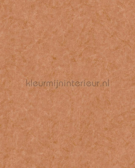 Dutch Wallcoverings Tapestry TP422904 | Bestellen bij https://www.kleurmijninterieur.nl/