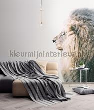 Livingwalls ARTist dd119801 | Bestellen bij https://www.kleurmijninterieur.nl/