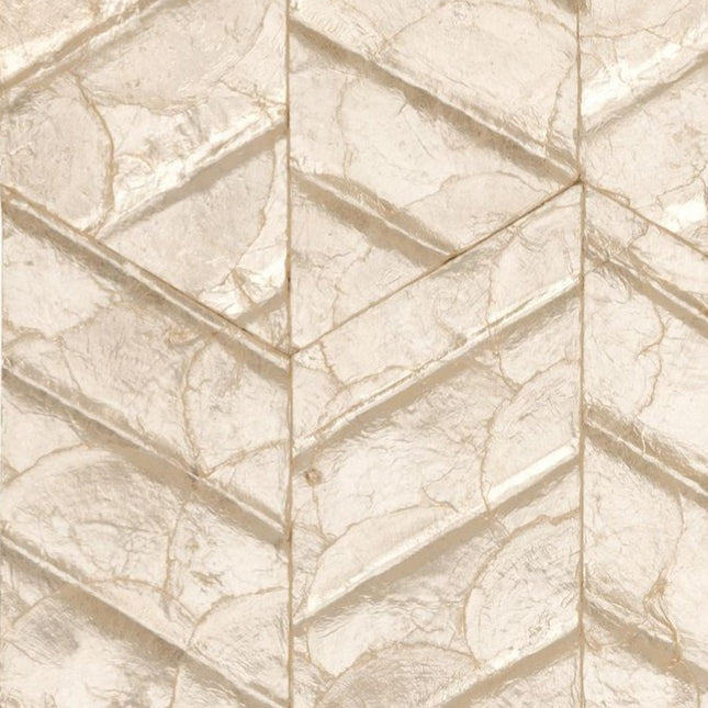 Coquille | kleurmijninterieur