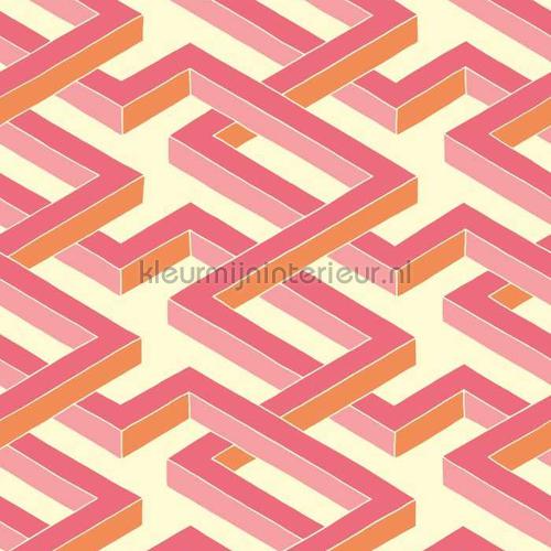 Cole and Son Geometric II 105-1004 | Bestellen bij https://www.kleurmijninterieur.nl/