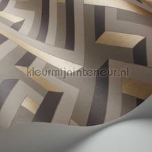 Cole and Son Geometric II 105-1006 | Bestellen bij https://www.kleurmijninterieur.nl/
