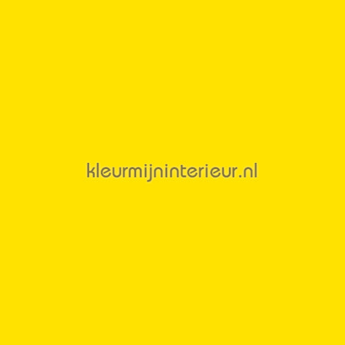 Macal  8908-12 61 cm x 5 mtr | Bestellen bij https://www.kleurmijninterieur.nl/