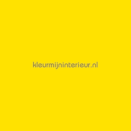 Macal  8909-12 | Bestellen bij https://www.kleurmijninterieur.nl/