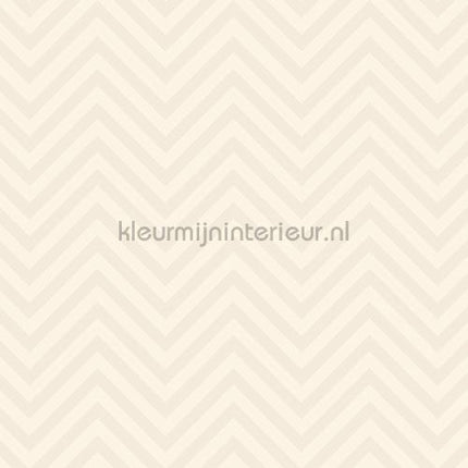 Missoni Home Wallcoverings 04 10380 | Bestellen bij https://www.kleurmijninterieur.nl/