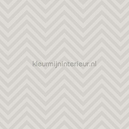 Missoni Home Wallcoverings 04 10381 | Bestellen bij https://www.kleurmijninterieur.nl/