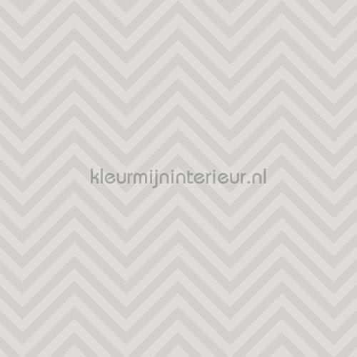 Missoni Home Wallcoverings 04 10381 | Bestellen bij https://www.kleurmijninterieur.nl/