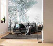 Komar RAW R3-023 | Bestellen bij https://www.kleurmijninterieur.nl/