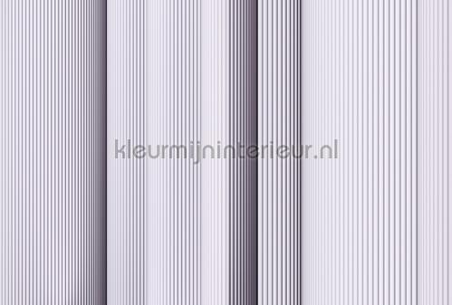 AS Creation Walls by Patel 3 DD122644 | Bestellen bij https://www.kleurmijninterieur.nl/