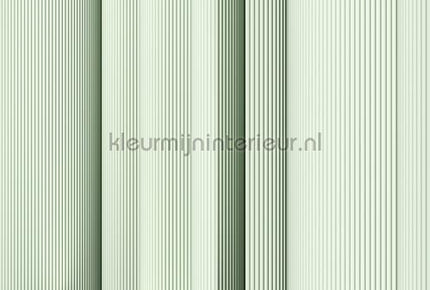 AS Creation Walls by Patel 3 DD122648 | Bestellen bij https://www.kleurmijninterieur.nl/