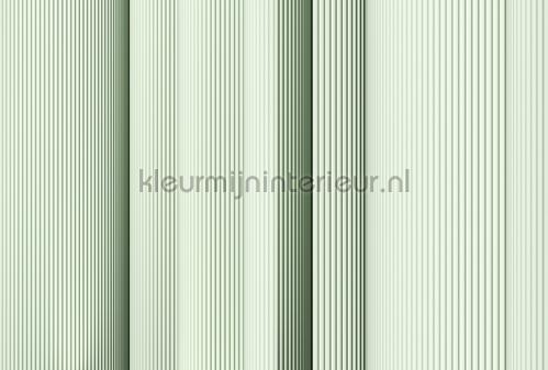 AS Creation Walls by Patel 3 DD122648 | Bestellen bij https://www.kleurmijninterieur.nl/