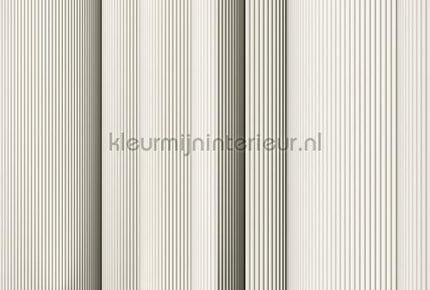 AS Creation Walls by Patel 3 DD122652 | Bestellen bij https://www.kleurmijninterieur.nl/
