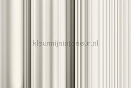 AS Creation Walls by Patel 3 DD122652 | Bestellen bij https://www.kleurmijninterieur.nl/