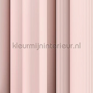 AS Creation Walls by Patel 3 DD122656 | Bestellen bij https://www.kleurmijninterieur.nl/