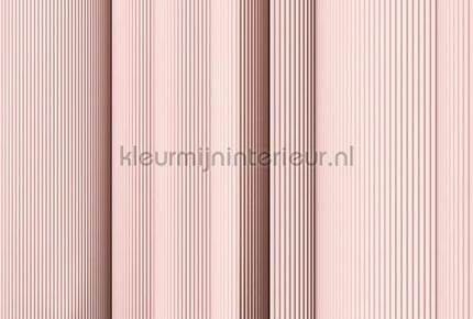 AS Creation Walls by Patel 3 DD122656 | Bestellen bij https://www.kleurmijninterieur.nl/