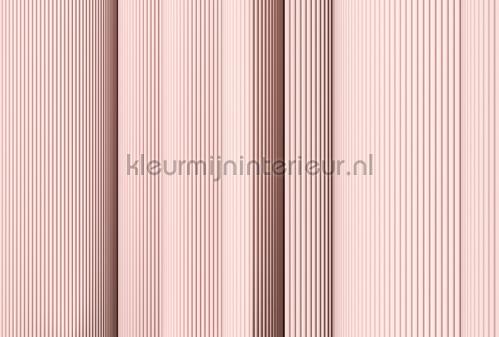 AS Creation Walls by Patel 3 DD122656 | Bestellen bij https://www.kleurmijninterieur.nl/