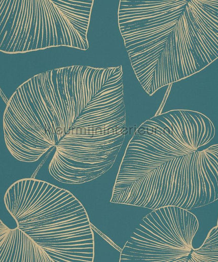 Caselio XXL XXL104536024 | Bestellen bij https://www.kleurmijninterieur.nl/