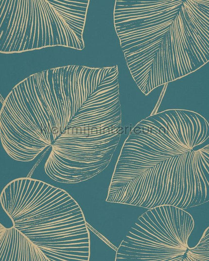 Caselio XXL XXL104536024 | Bestellen bij https://www.kleurmijninterieur.nl/