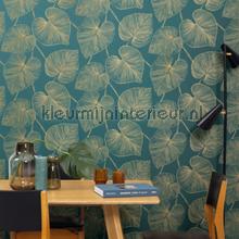 Caselio XXL XXL104536024 | Bestellen bij https://www.kleurmijninterieur.nl/