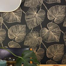 Caselio XXL XXL104539021 | Bestellen bij https://www.kleurmijninterieur.nl/