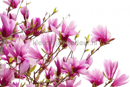 Rebel Walls Greenhouse r10591 | Bestellen bij https://www.kleurmijninterieur.nl/