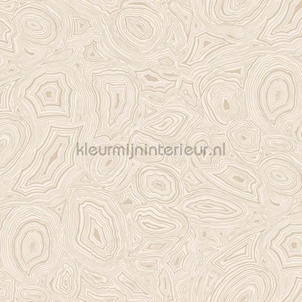 Cole and Son Fornasetti 114-6011 | Bestellen bij https://www.kleurmijninterieur.nl/