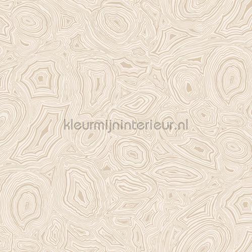 Cole and Son Fornasetti 114-6011 | Bestellen bij https://www.kleurmijninterieur.nl/