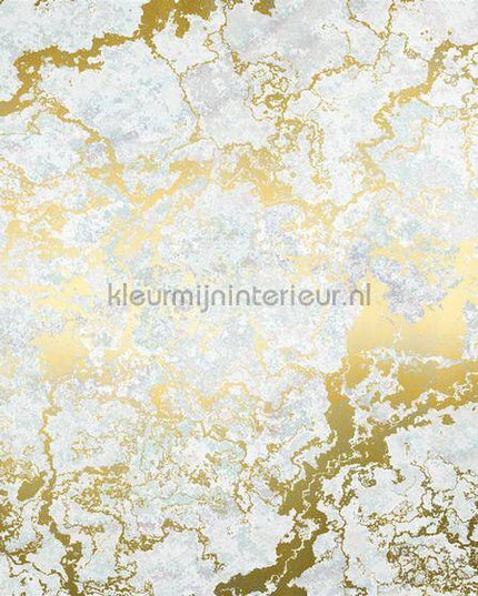 Komar RAW RSX8-056 | Bestellen bij https://www.kleurmijninterieur.nl/