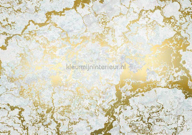 Komar RAW RSX8-056 | Bestellen bij https://www.kleurmijninterieur.nl/
