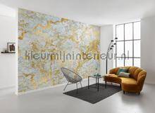 Komar RAW RSX8-056 | Bestellen bij https://www.kleurmijninterieur.nl/
