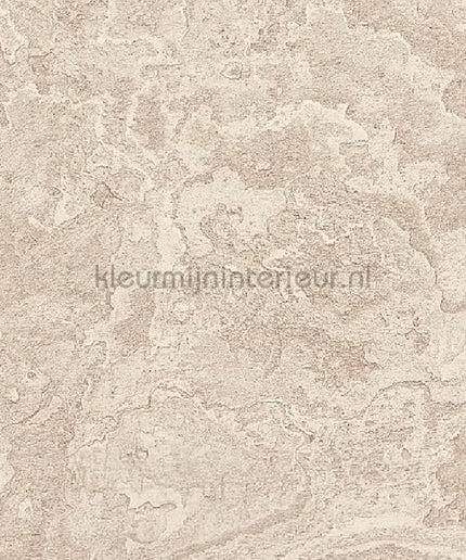 Dutch Wallcoverings Exclusive Threads TP422983 | Bestellen bij https://www.kleurmijninterieur.nl/
