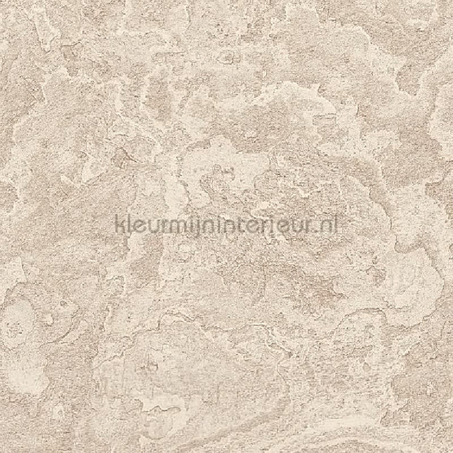 Dutch Wallcoverings Exclusive Threads TP422983 | Bestellen bij https://www.kleurmijninterieur.nl/