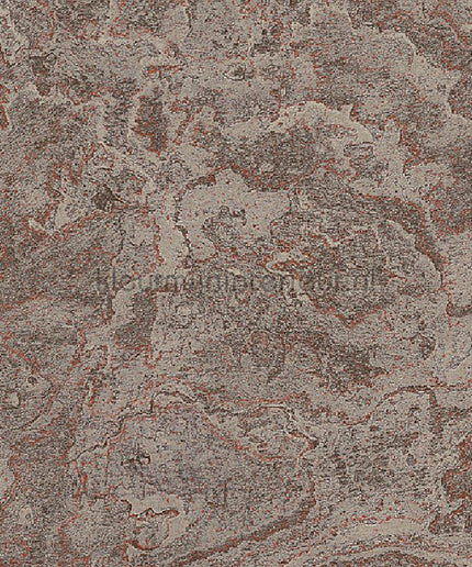 Dutch Wallcoverings Exclusive Threads TP422987 | Bestellen bij https://www.kleurmijninterieur.nl/