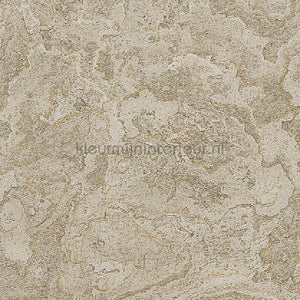 Dutch Wallcoverings Exclusive Threads TP422986 | Bestellen bij https://www.kleurmijninterieur.nl/