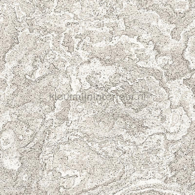 Dutch Wallcoverings Exclusive Threads TP422984 | Bestellen bij https://www.kleurmijninterieur.nl/