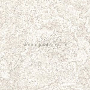 Dutch Wallcoverings Exclusive Threads TP422981 | Bestellen bij https://www.kleurmijninterieur.nl/