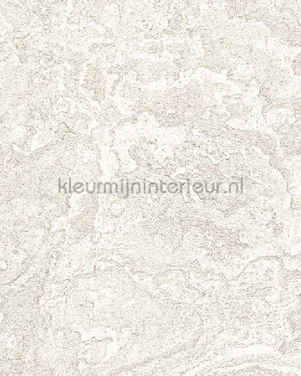Dutch Wallcoverings Exclusive Threads TP422981 | Bestellen bij https://www.kleurmijninterieur.nl/