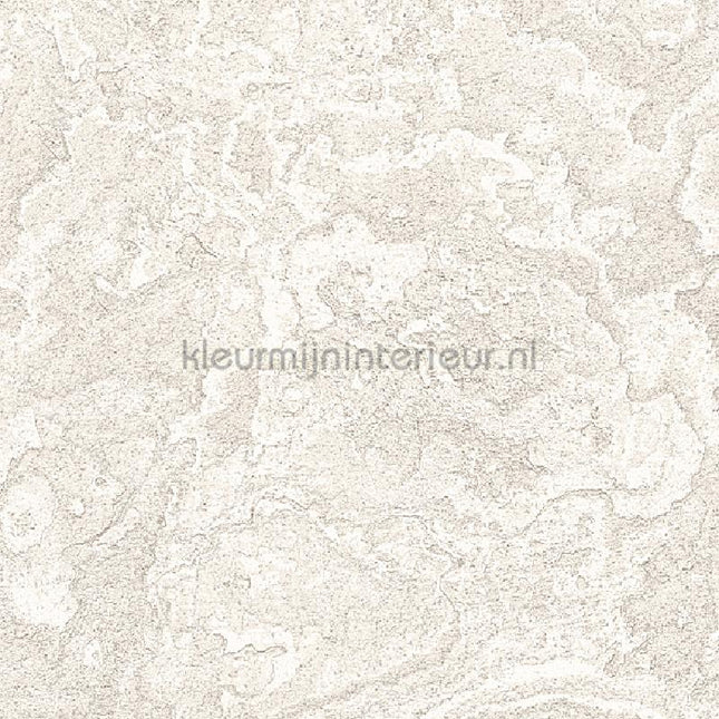 Dutch Wallcoverings Exclusive Threads TP422981 | Bestellen bij https://www.kleurmijninterieur.nl/