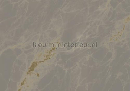 Kek Amsterdam Gold Metallics MW-054 | Bestellen bij https://www.kleurmijninterieur.nl/