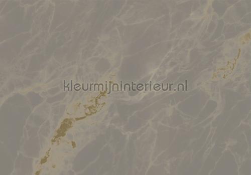 Kek Amsterdam Gold Metallics MW-054 | Bestellen bij https://www.kleurmijninterieur.nl/