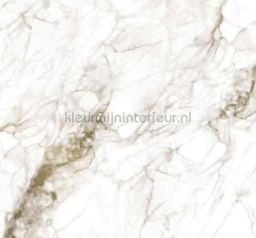 Kek Amsterdam Gold Metallics MW-059 | Bestellen bij https://www.kleurmijninterieur.nl/